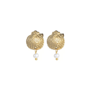 "Kirra" Shell Studs