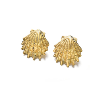 "Wategos" Scallop Studs